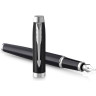 Ручка перьевая PARKER IM ESSENTIAL F319 MATTE BLACK CT F CW2143637